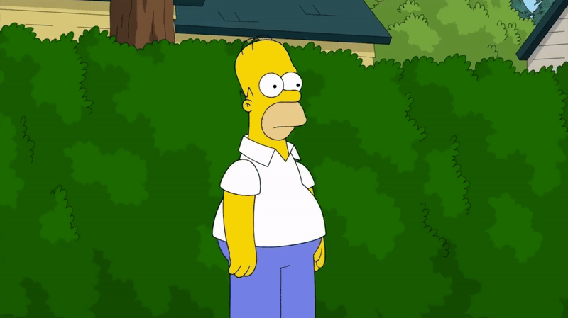 Homer Missing